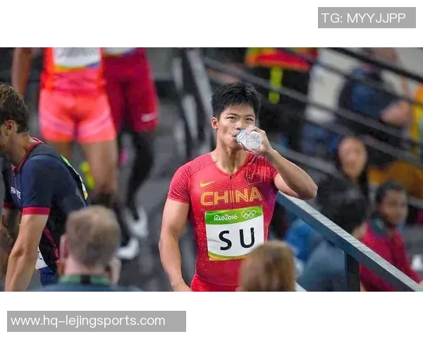 篮球明星的奋斗历程与荣耀时刻：从草根到巅峰的传奇之路